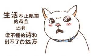樂從鋼材批發(fā)市場寶鋼鍍鋅板冷軋鍍鋅鋼帶價(jià)格行情